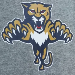 Apparel Mitchell & Ness T-Shirts & Tops-City Collection Ss Tee Florida Panthers
