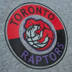 Apparel Mitchell & Ness T-Shirts & Tops-City Collection S/S Tee Toronto Raptors