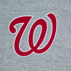 Apparel Mitchell & Ness Hoodies & Sweatshirts-Classic French Terry Hoodie Washington Nationals