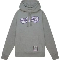 Apparel Mitchell & Ness Hoodies & Sweatshirts-College Tailsweep Pullover Northwestern University