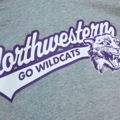 Apparel Mitchell & Ness Hoodies & Sweatshirts-College Tailsweep Pullover Northwestern University