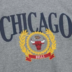 Apparel Mitchell & Ness Hoodies & Sweatshirts-Collegiate Hoodie Chicago Bulls