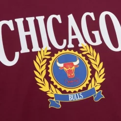 Apparel Mitchell & Ness T-Shirts & Tops-Collegiate Ivy League Ls Chicago Bulls