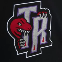 Apparel Mitchell & Ness Hoodies & Sweatshirts-Color Blocked Fleece 2.0 Toronto Raptors