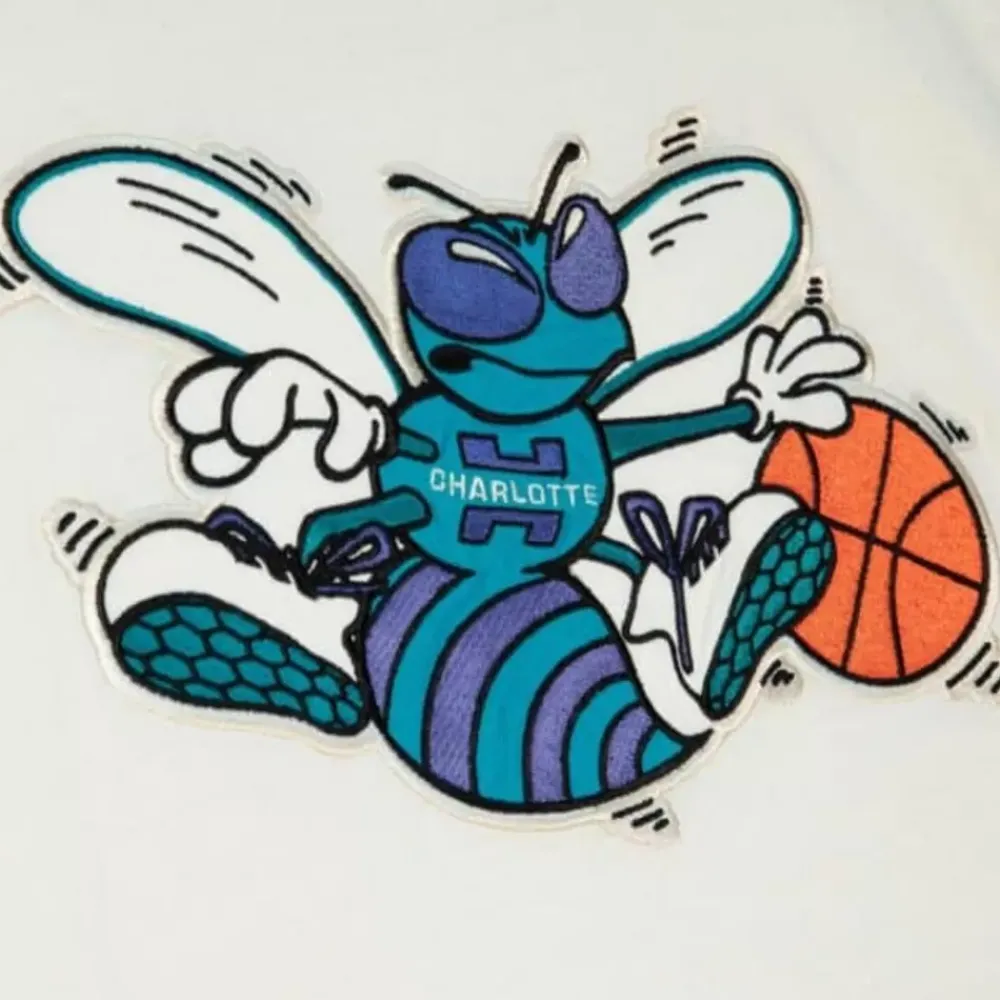 Apparel Mitchell & Ness T-Shirts & Tops-Color Blocked S/S Tee Charlotte Hornets