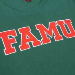 Apparel Mitchell & Ness T-Shirts & Tops-Color Blocked Ss Tee Florida A&M University