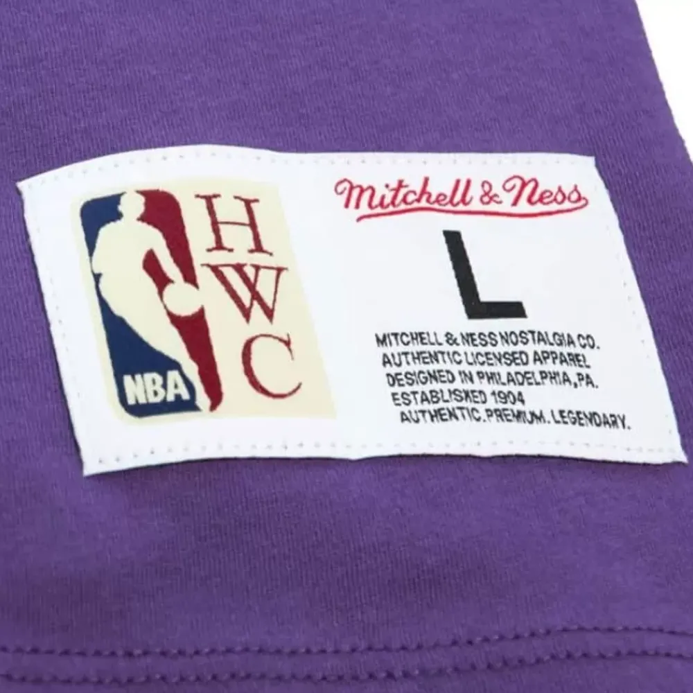 Apparel Mitchell & Ness T-Shirts & Tops-Color Blocked Ss Tee Los Angeles Lakers