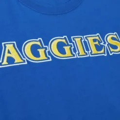 Apparel Mitchell & Ness T-Shirts & Tops-Color Blocked Ss Tee North Carolina A&T University