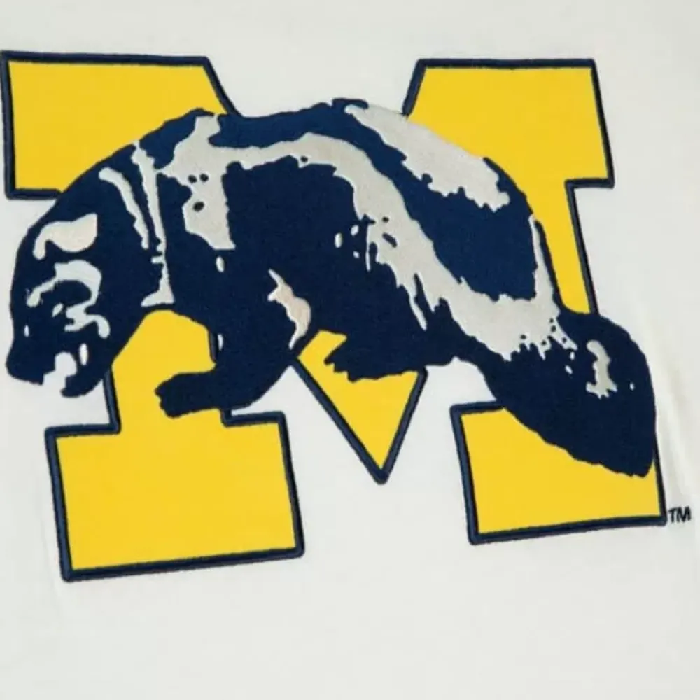 Apparel Mitchell & Ness T-Shirts & Tops-Color Blocked S/S Tee University Of Michigan