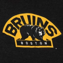 Apparel Mitchell & Ness Hoodies & Sweatshirts-Distressed Logo Hoody Boston Bruins