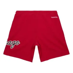 Apparel Mitchell & Ness Shorts-Game Day Ft Shorts Chicago Bulls