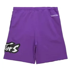 Apparel Mitchell & Ness Shorts-Game Day Ft Shorts Toronto Raptors