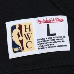 Apparel Mitchell & Ness Hoodies & Sweatshirts-Game Time Fleece Hoodie Vintage Logo Sacramento Kings