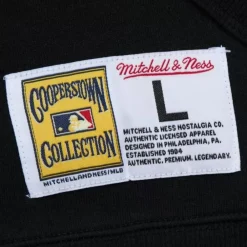 Apparel Mitchell & Ness Hoodies & Sweatshirts-Game Time Fleece Hoodie Vintage Logo Detroit Tigers