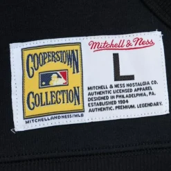 Apparel Mitchell & Ness Hoodies & Sweatshirts-Game Time Fleece Hoodie Vintage Logo New York Yankees