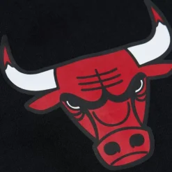Apparel Mitchell & Ness Hoodies & Sweatshirts-Game Time Fleece Hoodie Vintage Logo Chicago Bulls