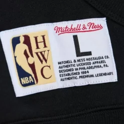 Apparel Mitchell & Ness Hoodies & Sweatshirts-Game Time Fleece Hoodie Vintage Logo San Antonio Spurs