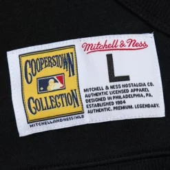 Apparel Mitchell & Ness Hoodies & Sweatshirts-Game Time Fleece Hoodie Vintage Logo San Francisco Giants