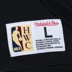 Apparel Mitchell & Ness Hoodies & Sweatshirts-Game Time Fleece Hoodie Vintage Logo Charlotte Hornets