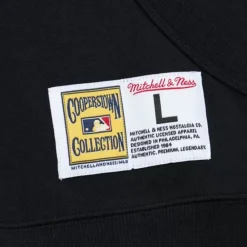 Apparel Mitchell & Ness Hoodies & Sweatshirts-Game Time Fleece Hoodie Vintage Logo Los Angeles Dodgers