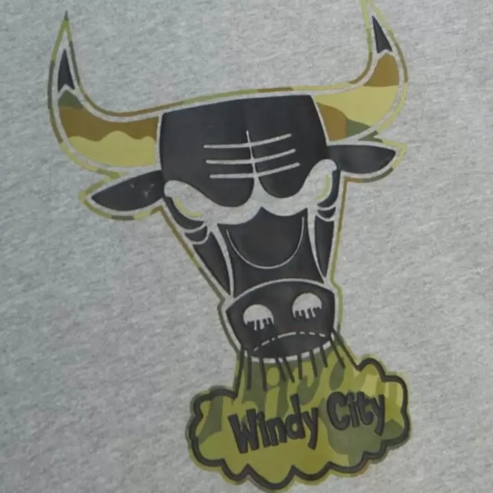 Apparel Mitchell & Ness Hoodies & Sweatshirts-Ghost Green Camo Hoody Chicago Bulls