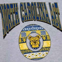 Apparel Mitchell & Ness Hoodies & Sweatshirts-Hbcu Pattern Hoody North Carolina A&T University