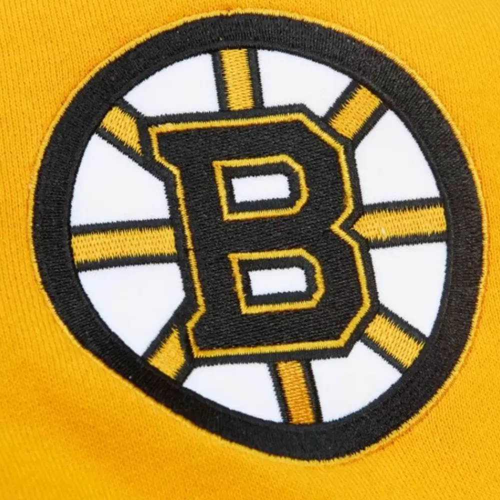 Apparel Mitchell & Ness Hoodies & Sweatshirts-Head Coach Hoodie Boston Bruins