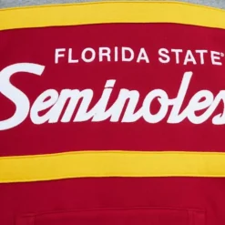 Apparel Mitchell & Ness Hoodies & Sweatshirts-Head Coach Hoodie Florida State University