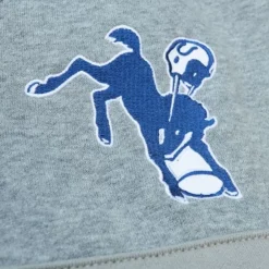 Apparel Mitchell & Ness Hoodies & Sweatshirts-Head Coach Hoodie Indianapolis Colts