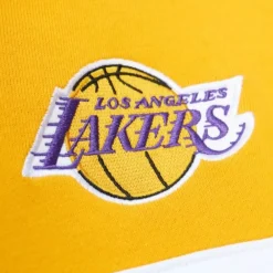 Apparel Mitchell & Ness Hoodies & Sweatshirts-Head Coach Hoodie Los Angeles Lakers