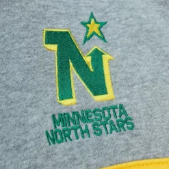 Apparel Mitchell & Ness Hoodies & Sweatshirts-Head Coach Hoodie Minnesota North Stars