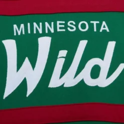 Apparel Mitchell & Ness Hoodies & Sweatshirts-Head Coach Hoodie Minnesota Wild