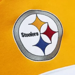Apparel Mitchell & Ness Hoodies & Sweatshirts-Head Coach Hoodie Pittsburgh Steelers