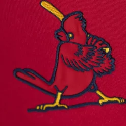 Apparel Mitchell & Ness Hoodies & Sweatshirts-Head Coach Hoodie St. Louis Cardinals