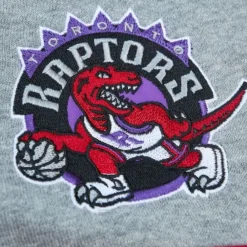 Apparel Mitchell & Ness Hoodies & Sweatshirts-Head Coach Hoodie Toronto Raptors