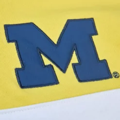 Apparel Mitchell & Ness Hoodies & Sweatshirts-Head Coach Hoodie University Of Michigan