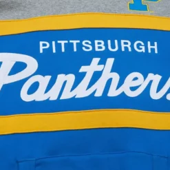 Apparel Mitchell & Ness Hoodies & Sweatshirts-Head Coach Hoodie University Of Pittsburgh