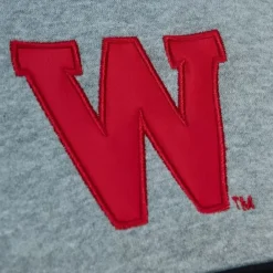 Apparel Mitchell & Ness Hoodies & Sweatshirts-Head Coach Hoodie University Of Wisconsin - Madison