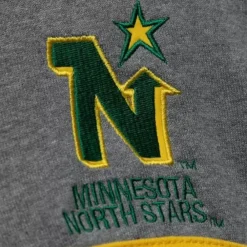 Apparel Mitchell & Ness Hoodies & Sweatshirts-Headcoach Hoody Minnesota North Stars