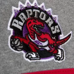 Apparel Mitchell & Ness Hoodies & Sweatshirts-Headcoach Hoody Toronto Raptors