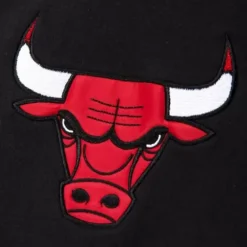 Apparel Mitchell & Ness Hoodies & Sweatshirts-Heavyweight Fleece Full Zip Hoodie Chicago Bulls