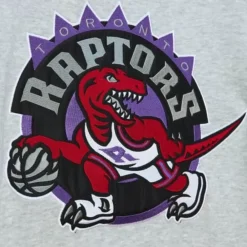 Apparel Mitchell & Ness Hoodies & Sweatshirts-Heavyweight Fleece Hoodie Toronto Raptors