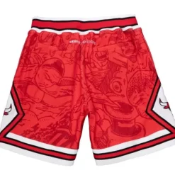 Apparel Mitchell & Ness Shorts-Hebru Shorts Chicago Bulls