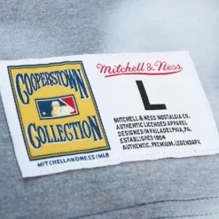 Apparel Mitchell & Ness T-Shirts & Tops-Highlight Sublimated Player Tee Anaheim Angels Vladimir Guerrero