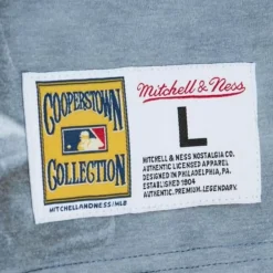 Apparel Mitchell & Ness T-Shirts & Tops-Highlight Sublimated Player Tee Chicago Cubs Ernie Banks