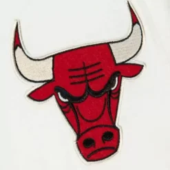 Apparel Mitchell & Ness T-Shirts & Tops-Icon Henley Chicago Bulls
