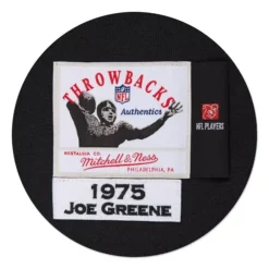 Jerseys Mitchell & Ness -Joe Greene 1975 Authentic Jersey Pittsburgh Steelers