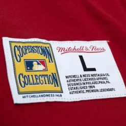 Apparel Mitchell & Ness T-Shirts & Tops-Legendary Slub Henley Chicago Cubs