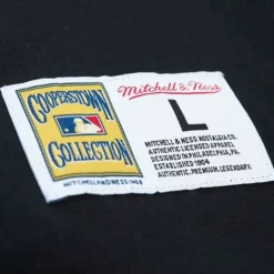 Apparel Mitchell & Ness T-Shirts & Tops-Legendary Slub Henley San Francisco Giants