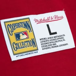 Apparel Mitchell & Ness T-Shirts & Tops-Legendary Slub Henley St. Louis Cardinals